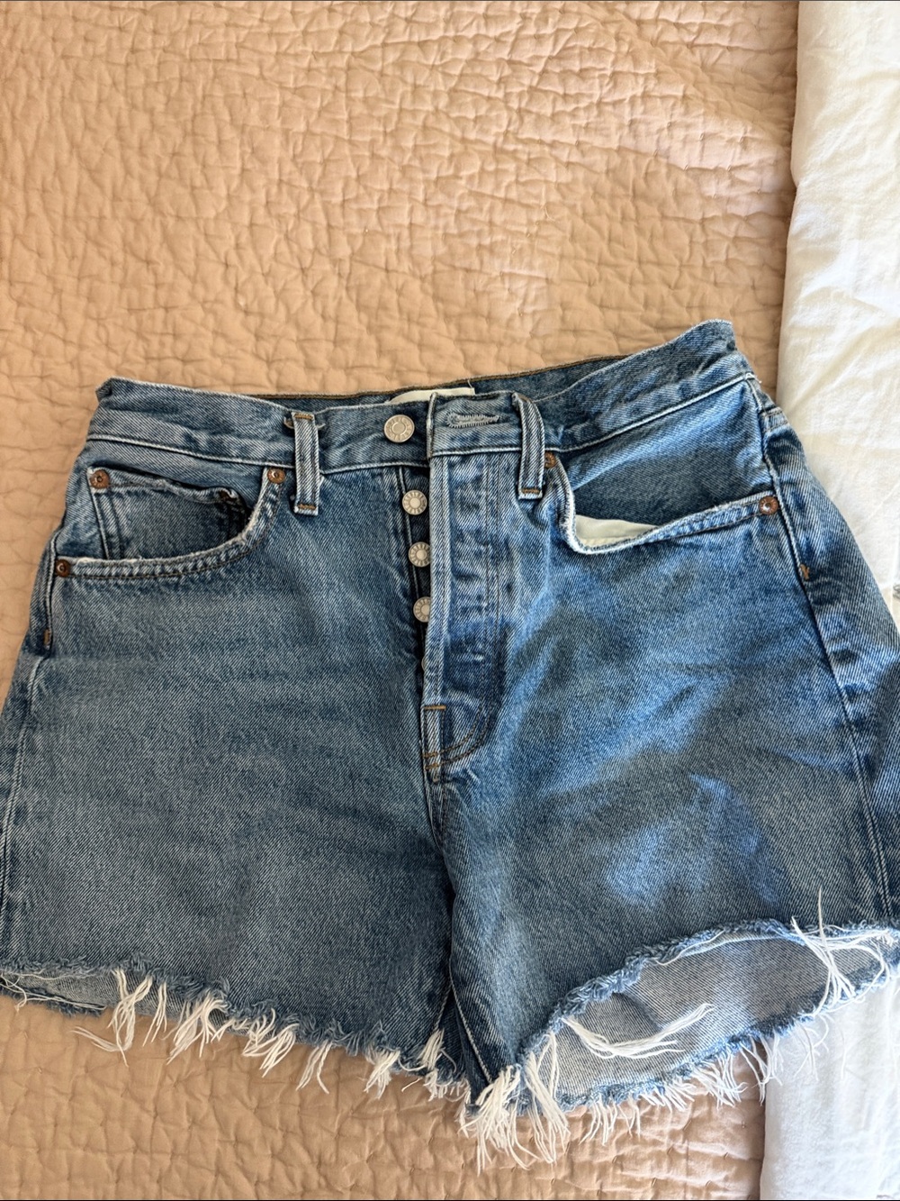 Agolde Parker Long Shorts